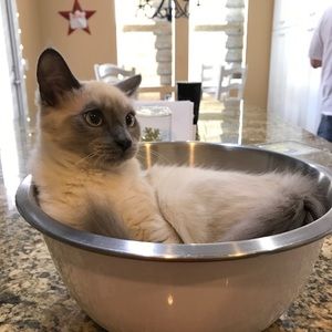 Meet your Posher, Karly